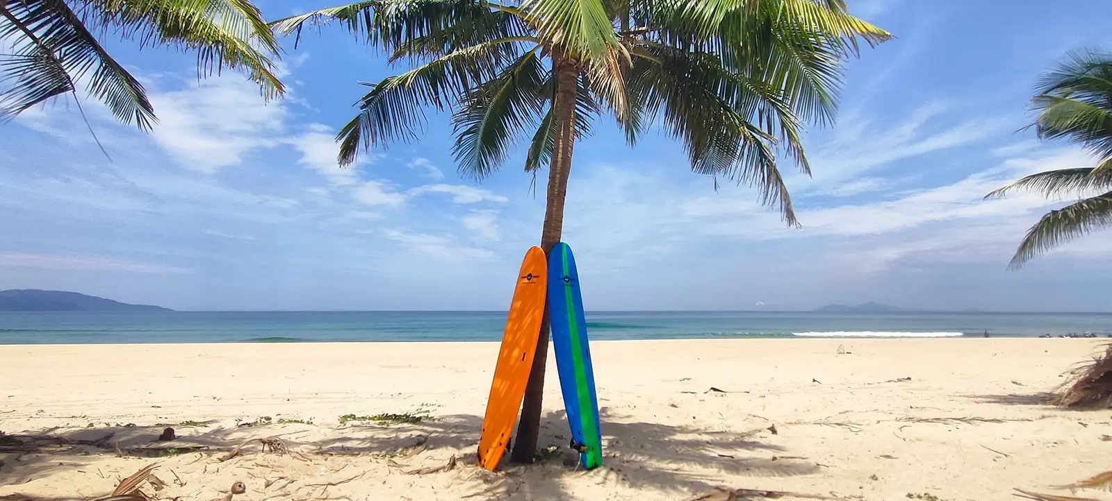 Beginner surfboards available for rental in Da Nang